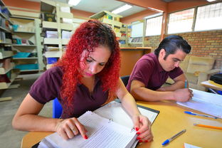 九游娱乐(jiuyou)官网-高校体育课分层教学实施成效调研,体育分层教学的策略与方法探讨