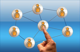 Jiuyou-中小学篮球课程内容不断丰富提升学生篮球综合素养，中小学篮球教学方法