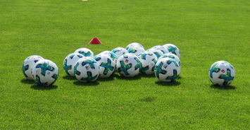 九游娱乐-中国足球青训联盟推出青训教练考核标准全国通用,中国足协青训大纲内容